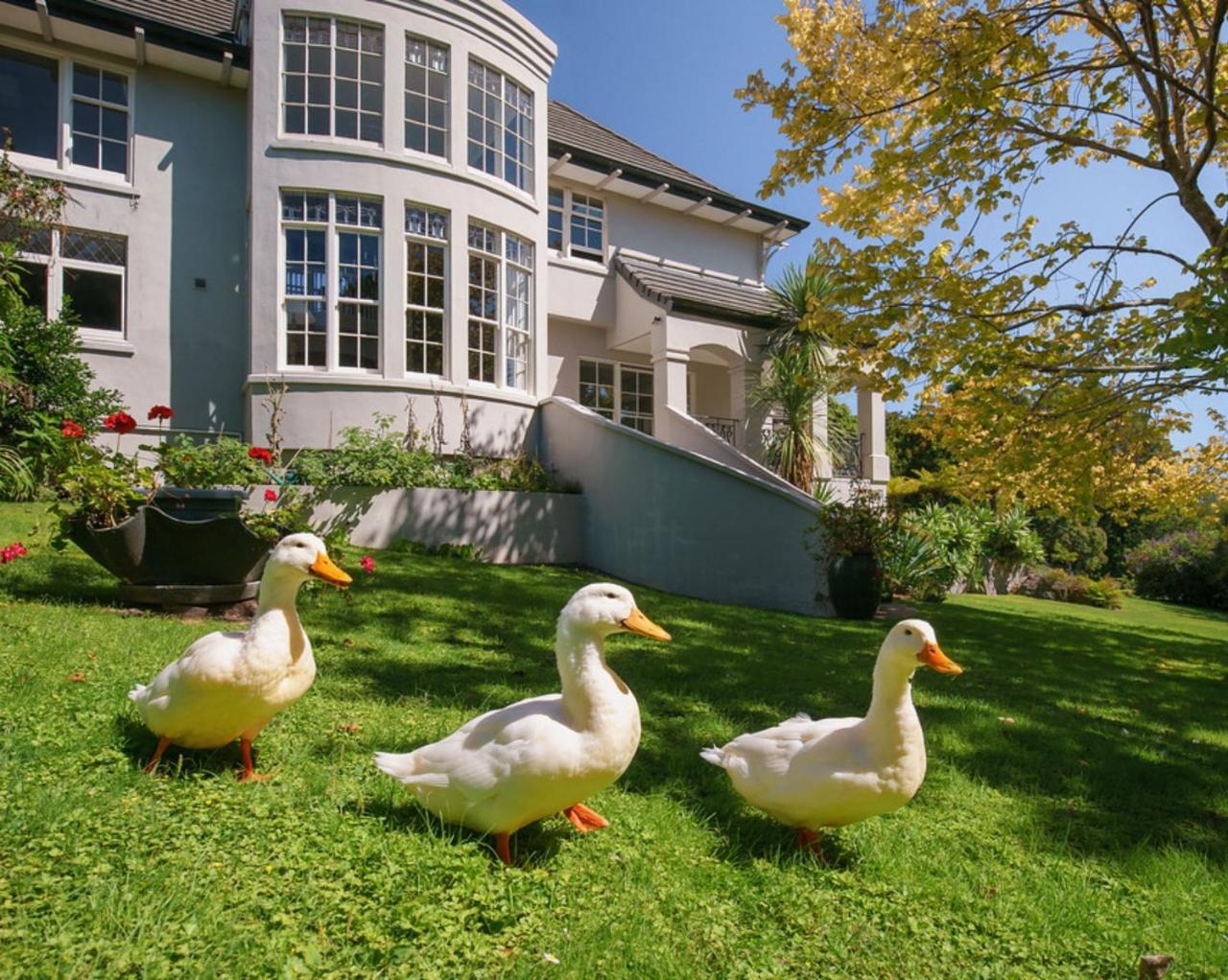 Greenmantle Estate Hotel Paraparaumu Luaran gambar