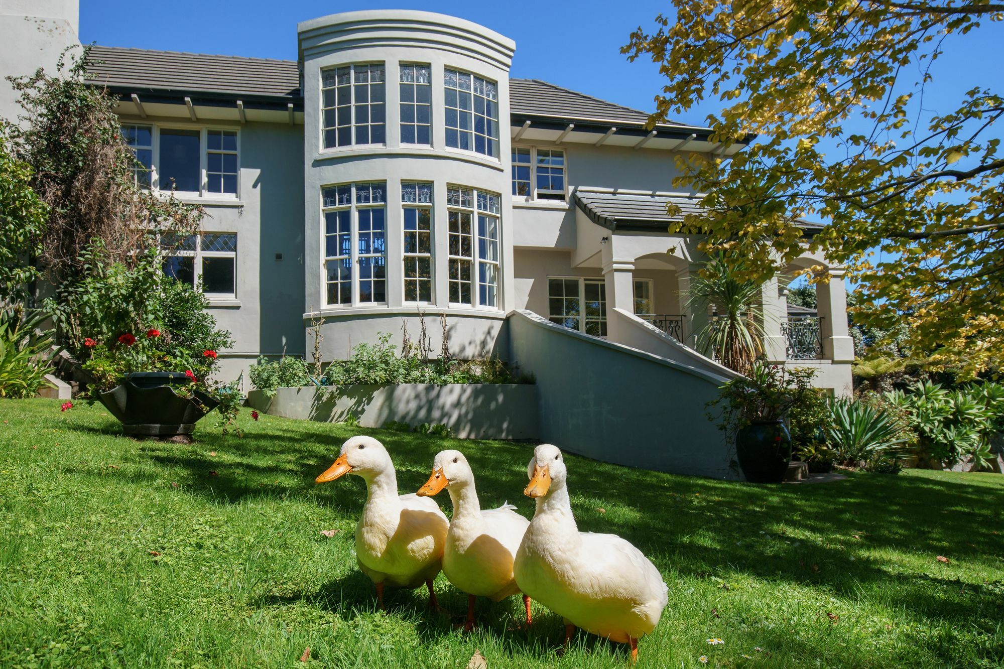 Greenmantle Estate Hotel Paraparaumu Luaran gambar
